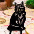 Cat Maine Coon Statue Garden Home Ornament Owner Lover Gifts